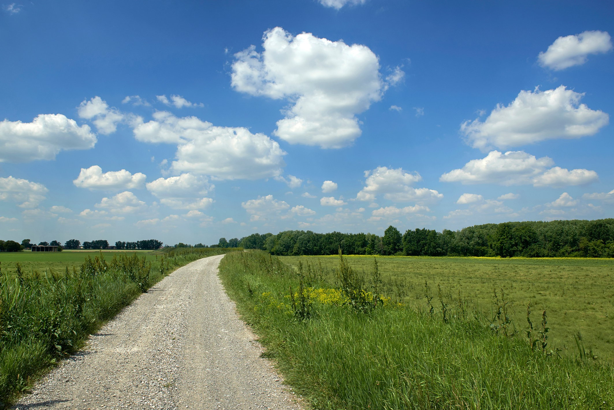 bike path